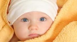 Timeline: etapas de la vida