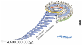Timeline: Η εξέλιξη της ζωής στην Γη