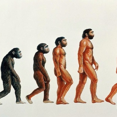 Timeline: Linea del tempo