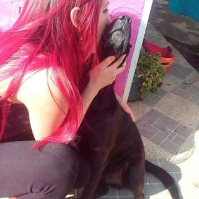 Timeline: Los mejores momentos de mi vida