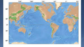 Timeline: TEORÍAS OROGÉNICAS