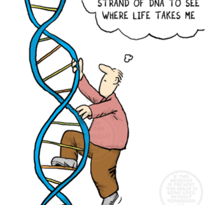 Timeline: DNA - 1981-2001