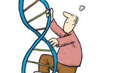 Timeline: DNA - 1981-2001