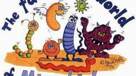 Timeline: Historia de la Microbiología