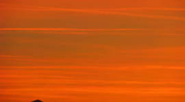 Timeline: Μεγάλες ανακαλύψεις που συνέβαλαν στην αύξηση του πληθυσμού