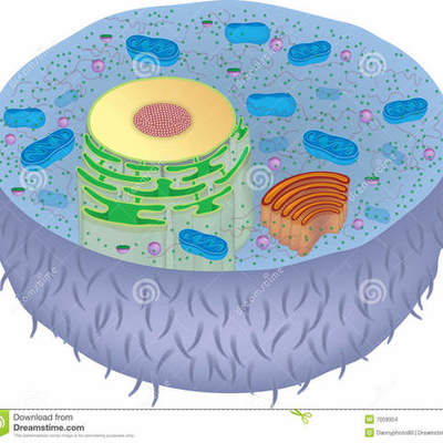 Timeline: Η ΕΞΕΛΙΞΗ ΤΗΣ ΓΕΝΕΤΙΚΗΣ & ΤΗΣ ΓΕΝΕΤΙΚΗΣ ΜΗΧΑΝΙΚΗΣ ΤΟΝ 20ο ΑΙΩΝΑ (Genetics & Gen. Engineering development during 20th century)