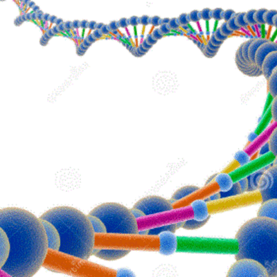 Timeline: ΙΣΤΟΡΙΑ ΤΟΥ DNA