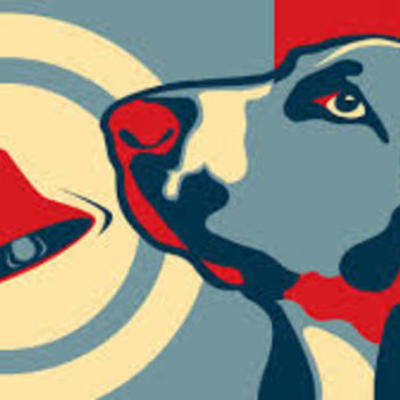 Timeline: CONDUCTISMO