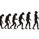 Evolution