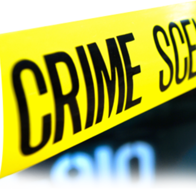 Timeline: Stephen Wilson's Shop Timeline