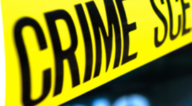 Timeline: Stephen Wilson's Shop Timeline