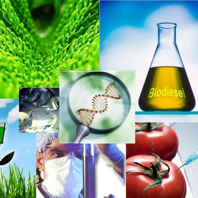 Timeline: Biotecnologia
