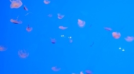 Timeline: Vida Personal