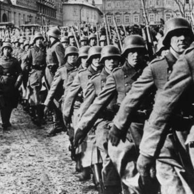 Timeline: Maya Wimberger