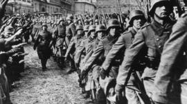 Timeline: Maya Wimberger