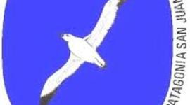 Timeline: Universidad