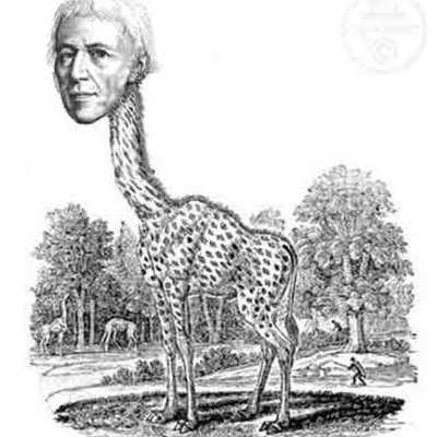 Timeline: Evolucionismo Lamarck