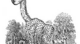 Timeline: Evolucionismo Lamarck