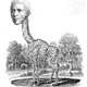 Lamarck