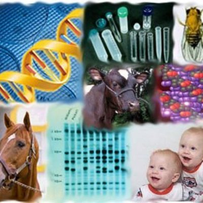 Timeline: Evolución de la Genética