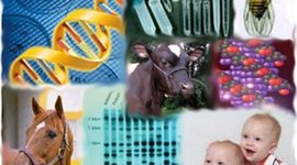 Timeline: Evolución de la Genética