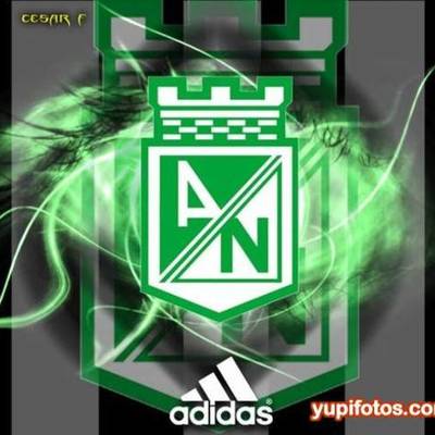 Timeline: imagenes de nacional