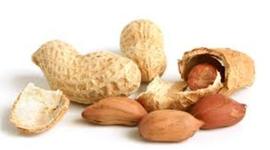 Timeline: Immune System Timeline