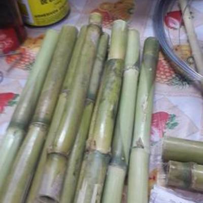 Timeline: hotel de insectos que esta hubicada en el puente del vado y en indurama