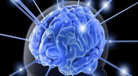 Timeline: Descrubrimientos Científicos