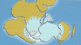Timeline: LÍNEA DEL TIEMPO