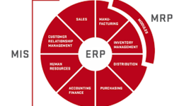 Timeline: EVOLUCION DEL MRP