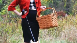 Timeline: RED RIDING HOOD