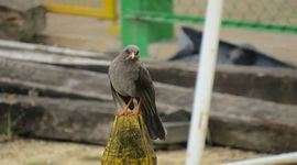 Timeline: FOTOGRAFÍA