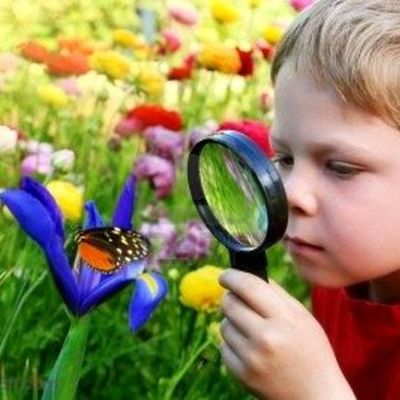 Timeline: EL CONCEPTO DE PEDAGOGIA Y TEORIAS  DEL APRENDIZAJE SIGNIFICATIVO