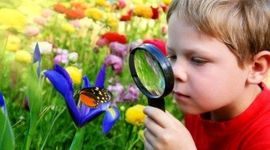 Timeline: EL CONCEPTO DE PEDAGOGIA Y TEORIAS  DEL APRENDIZAJE SIGNIFICATIVO