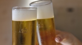 Timeline: La Cerveza