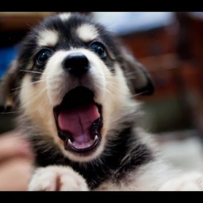 Timeline: Spread of Islam Additions