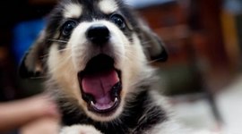 Timeline: Spread of Islam Additions