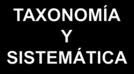 Timeline: TAXONOMIA Y SISTEMATICA