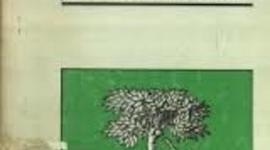 Timeline: Principales cambios por los que ha pasado la Administración Pública Federal