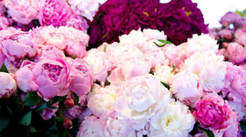 Timeline: Mi línea de tiempo