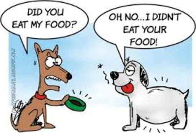 ผลการค้นหารูปภาพสำหรับ past simple timeline