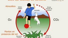 Timeline: Biodiversidad como resultado de la evolución: relación ambiente, cambio y adaptación