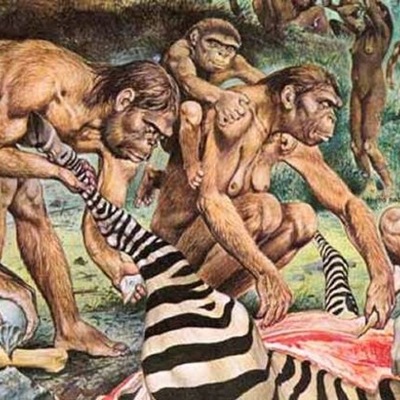 Timeline: Linea del tiempo.