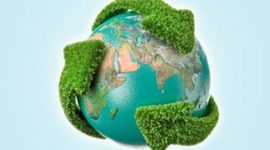 Timeline: el reciclaje