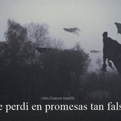 Timeline: WONDERLAND