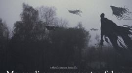 Timeline: WONDERLAND