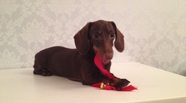 Timeline: Матильда