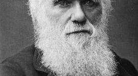 Timeline: BIOGRAFIA CHARLES DARWIN