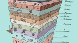Timeline: Geological Timeline
